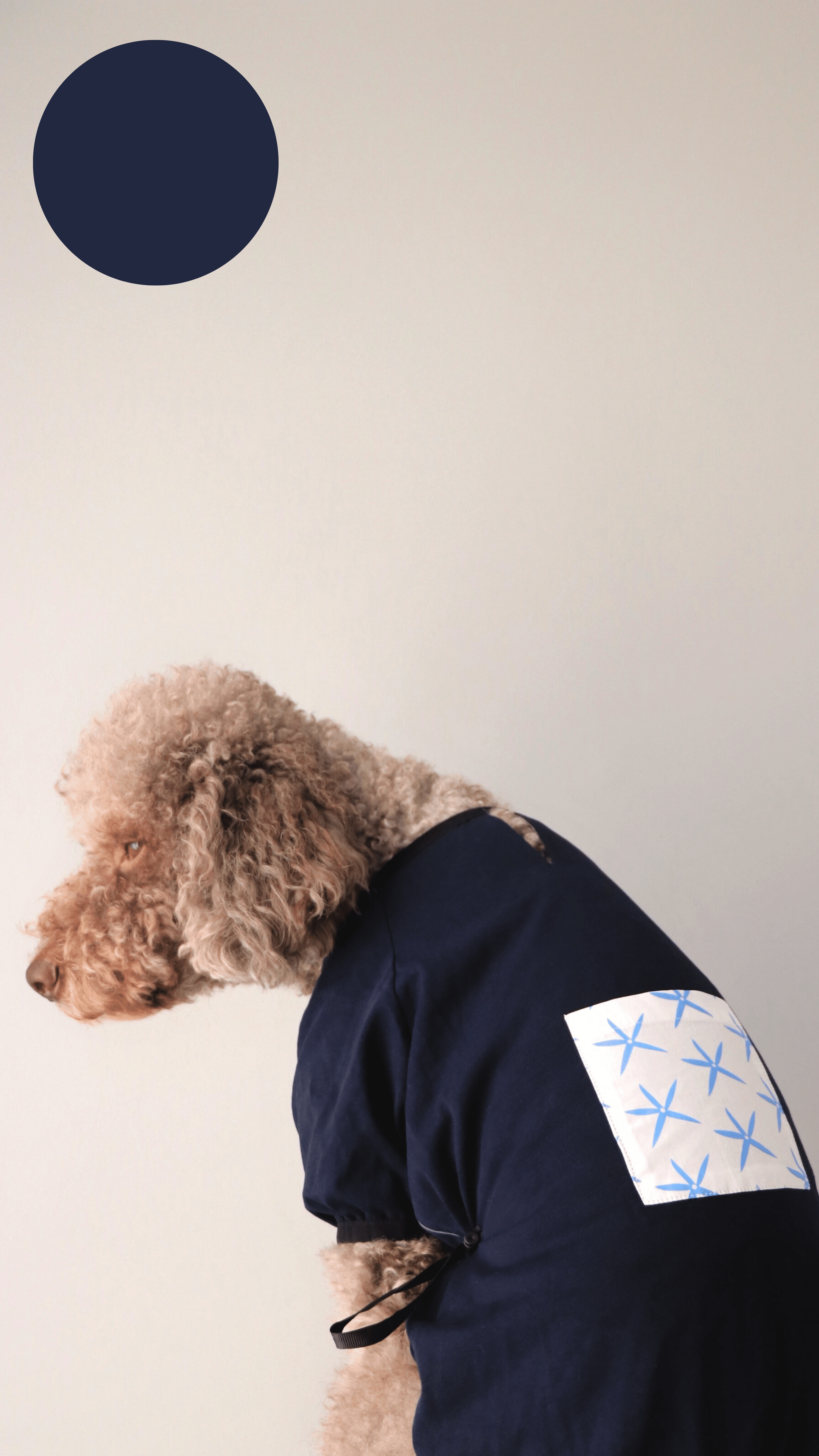 NAVYBLUEWHITE T-SHİRT